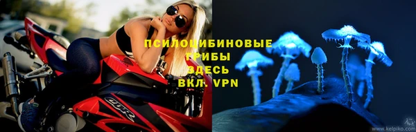 экстази Касимов