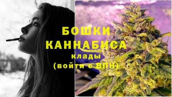 сатива Карталы