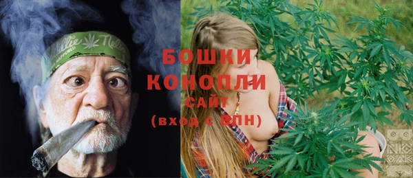 сатива Карталы