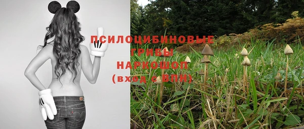 сатива Карталы