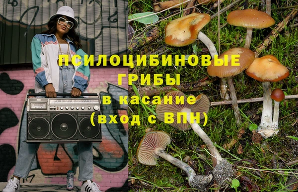 сатива Карталы