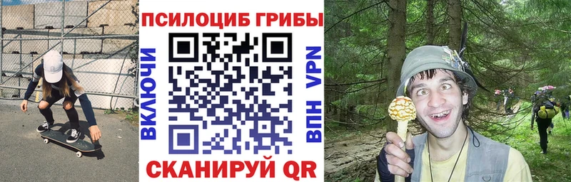 Галлюциногенные грибы GOLDEN TEACHER  Купить закладки  Гаврилов Посад 